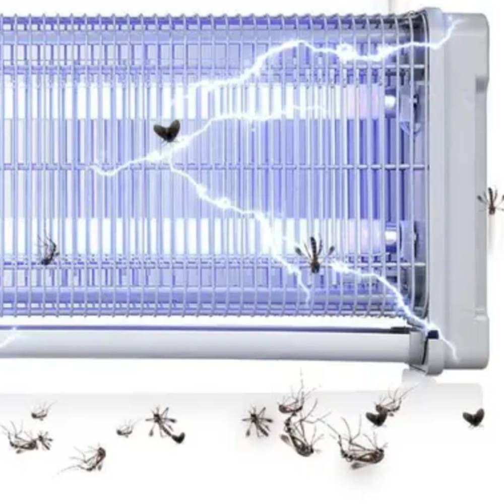 buy electric killer light lamp