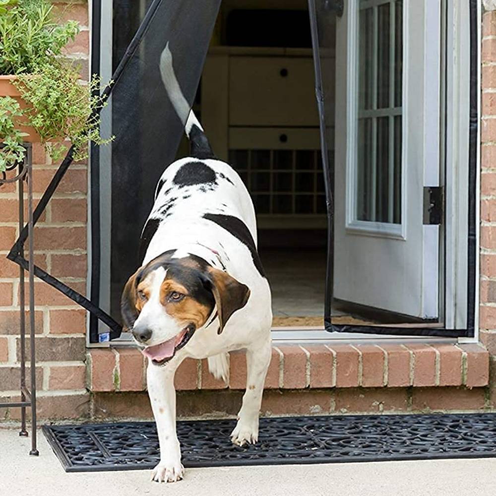 buy fly screen pet door